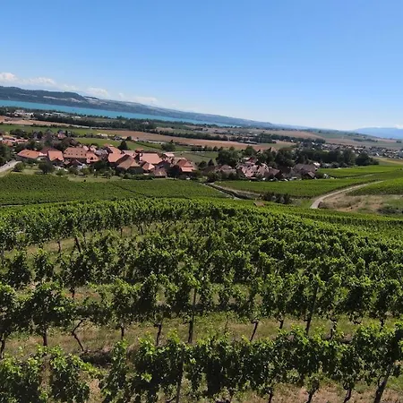 Grand Des Rasses & Wellness 3* Sainte-Croix