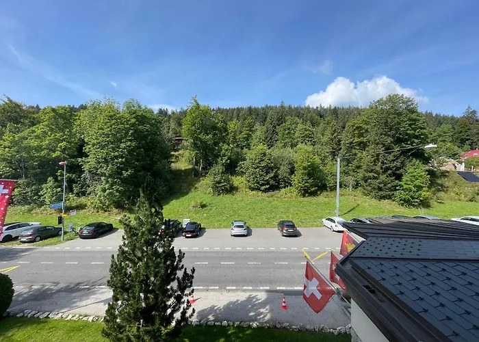 Grand Des Rasses&wellness 3* Sainte-Croix VD