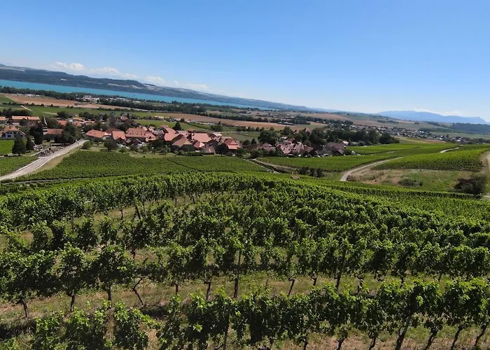 Grand Des Rasses&wellness 3* Sainte-Croix VD