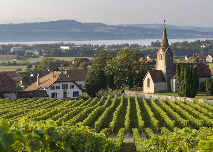 Grand Des Rasses & Wellness Hotel 3*