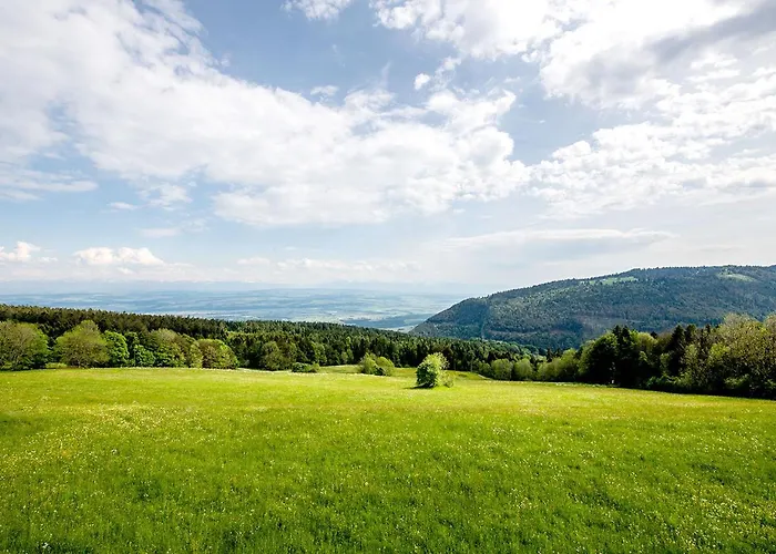 Grand Des Rasses & Wellness Hotel 3*